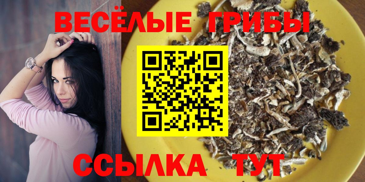 Псилоцибиновые грибы Magic Shrooms  Вход с VPN  Новороссийск 