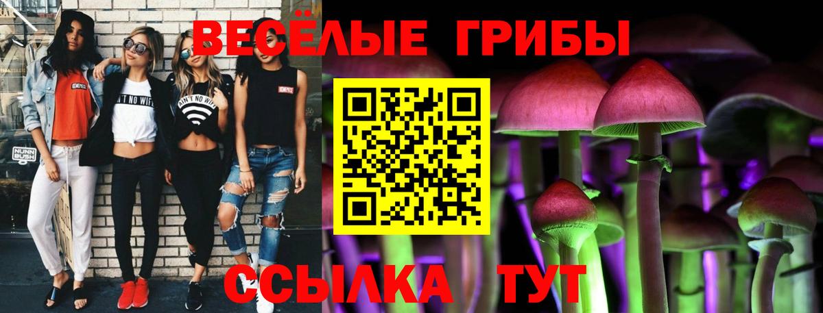 Псилоцибиновые грибы Magic Shrooms Новороссийск