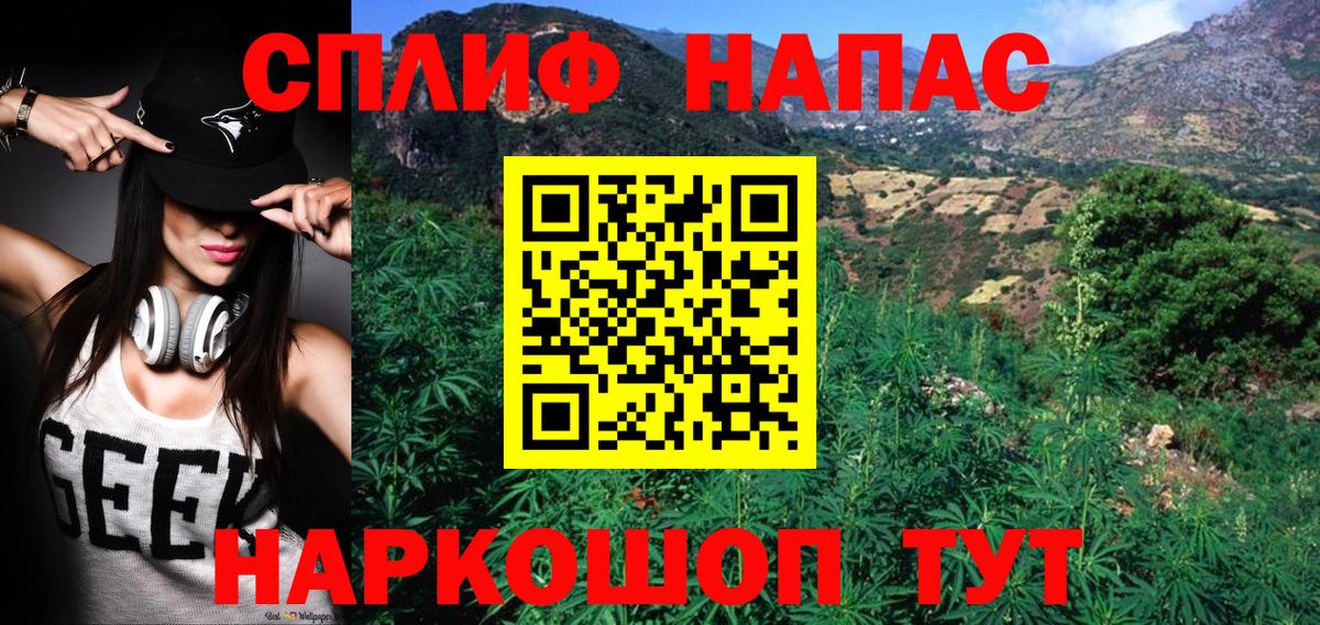 Марихуана SATIVA & INDICA Новороссийск